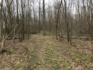 Property photo 46 - LAND AUCTION - 156.63+/- ACRES OFFERED IN 7 TRACTS IN ALLEN COUNTY, INDIANA